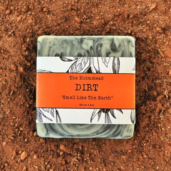 DIRT